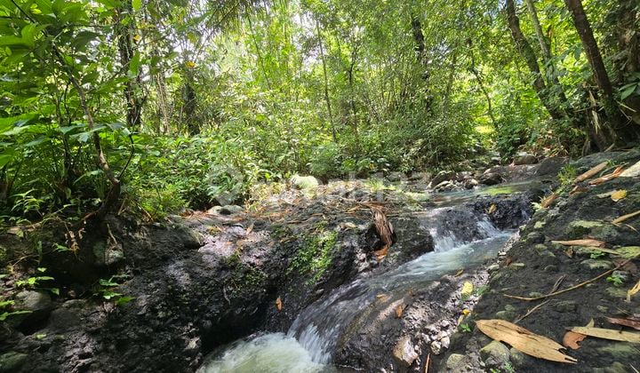 Dijual Tanah Murah dengan Sungai di Tabanan Bali