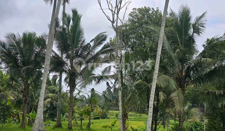For Sale Land.beautiful.view.in Tabanan.bali