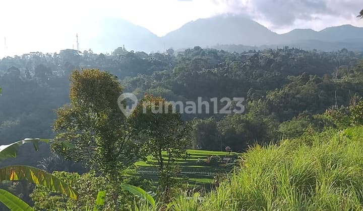 Dijual Tanah.murah.view.gunung Bukit Dan.sawah Cantik.di.bali