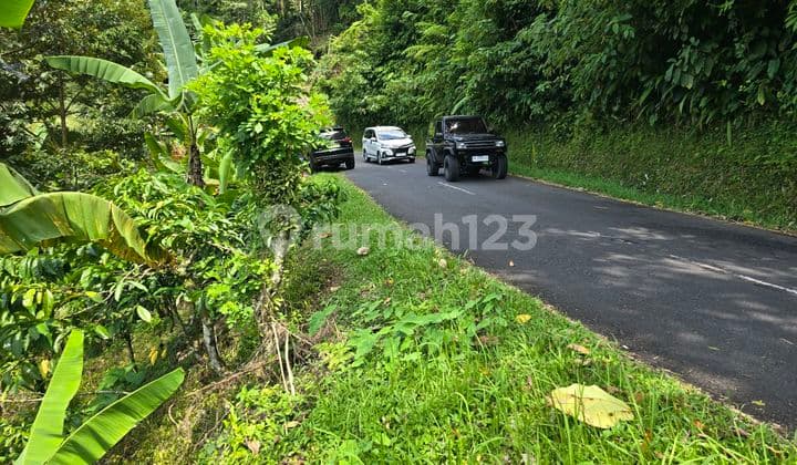 For Sale Rice Field View Land and Riverfront Plot in Tabanan Bali