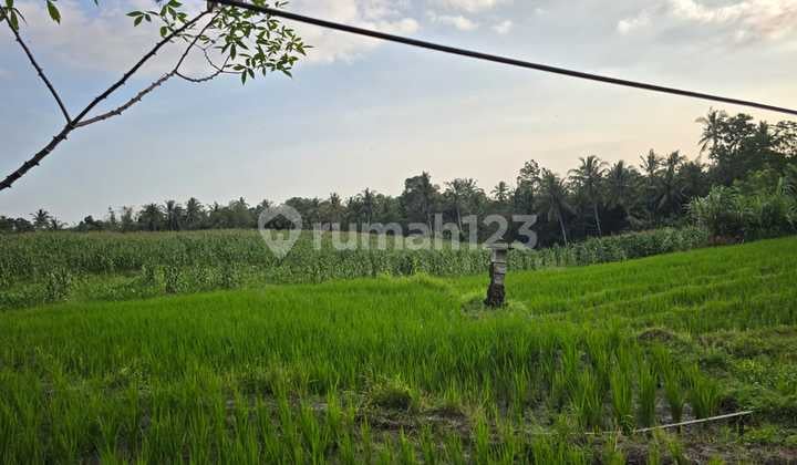 Dijual Tanah View.sawah.dan.los.sungai.di.bali