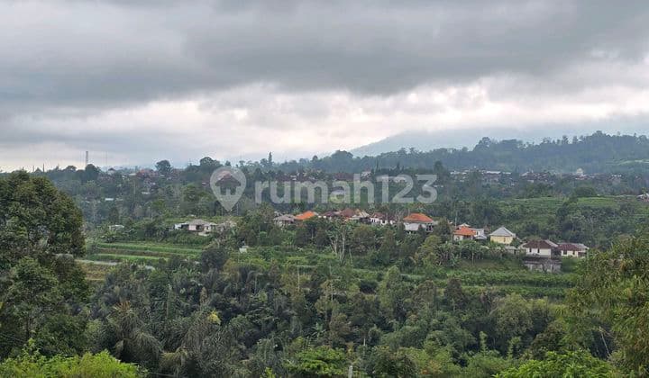 Dijual Tanah.murah.view.lembah Dan.sawah.di.tabanan.bali