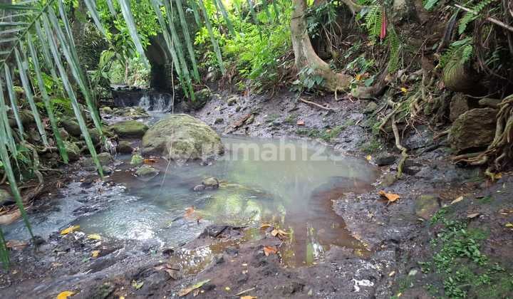 Dijual Murah Tanah.los.sungai.dan.view.sawah.cantik.di.bali