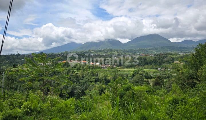 Dijual Tanah View Gunung dan Terasering di Tabanan Bali