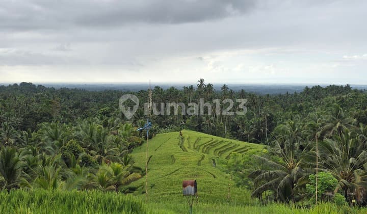 Dijual Tanah Kebun Sawah Murah Wiew Cantik Laut dan Sawah Terasering di Bali