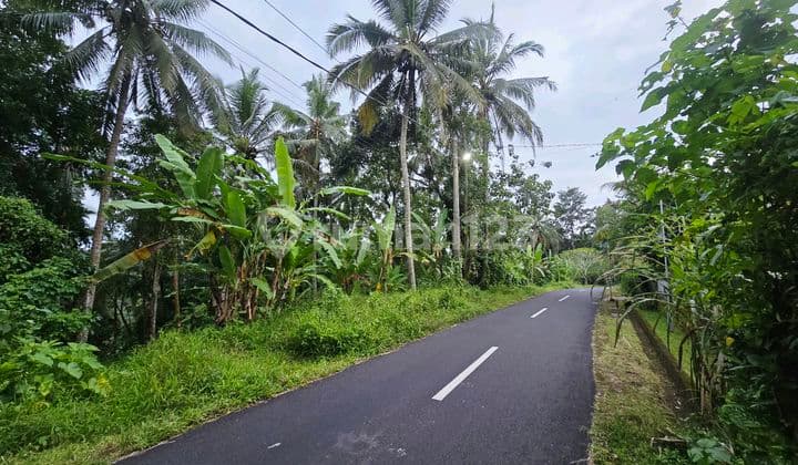 Dijual Tanah di Pinggir Jalan Hotmik di Tabanan Bali