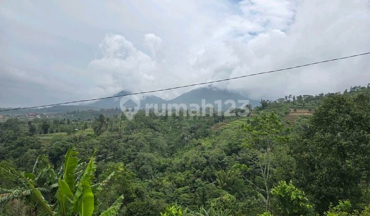 Dijual Tanah Kebun View Cantik Baturiti Tabanan Bali