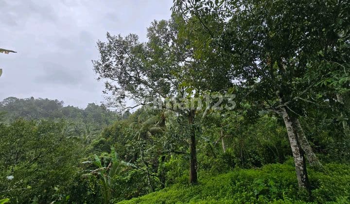 Dijual Tanah Murah di Tabanan Bali