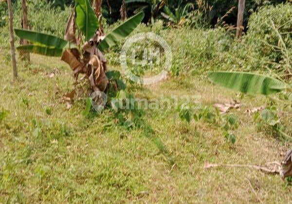 For Rent Land Mekarwangi Cisauk Tigaraksa