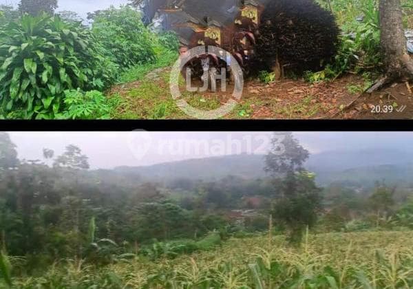Land for sale in Bencony, Cireunghas, Sukabumi.