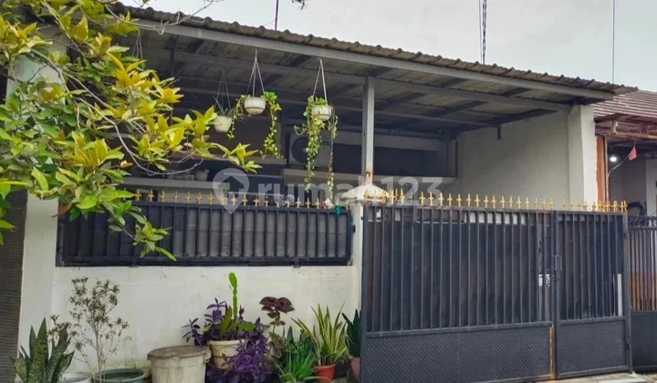 Rumah Murah Siap Huni,Bebas Banjir Dalam Cluster di Perumahan Panjibuwono City,Babelan,Bekasi