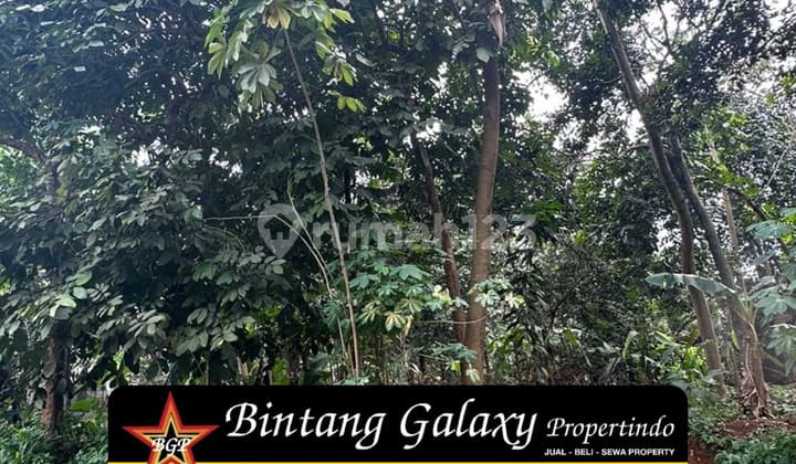 Dijual Tanah Seluas 3000 m2 Area Lokasi cocok Untuk Pabrik atau Workshop