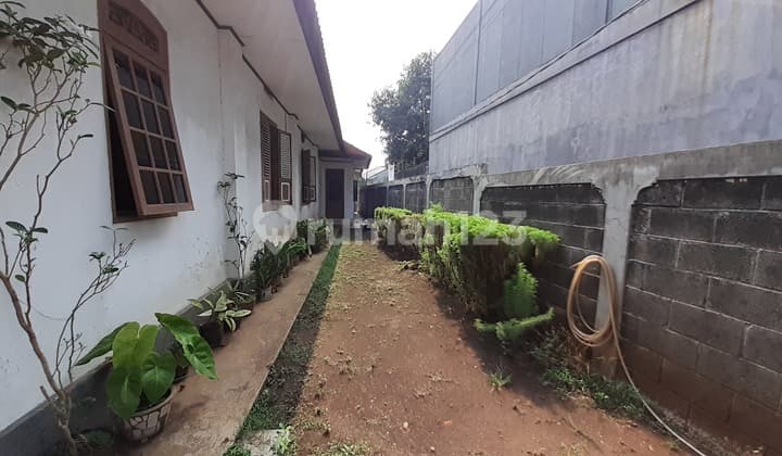 Tanah Luas Rumah Lama Cocok Buat Usaha Kafe Resto dan Lainnya di Depok