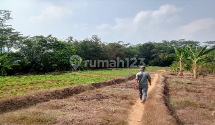 Dijual Tanah Kavling Di Karawang Shm - Sertifikat Hak Milik