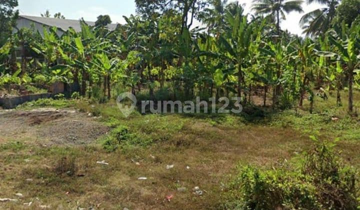 Tanah Pangandaran Mainroad Bisa Untuk Segala Usaha