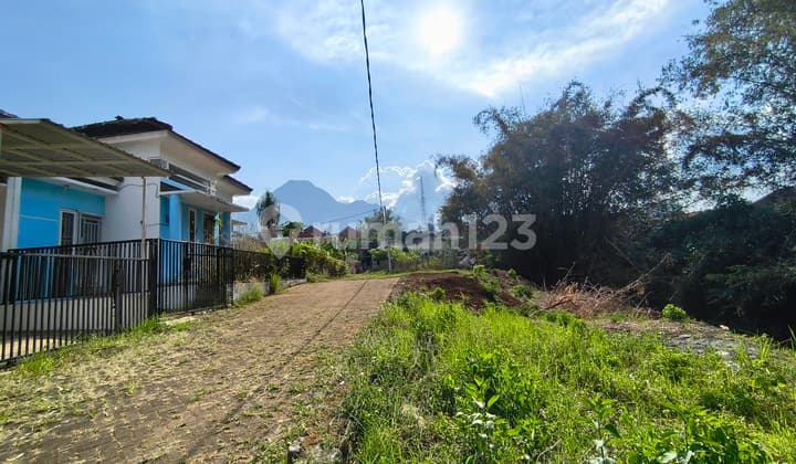 Villa Free Management, 3 Menit Jatim Park2 dan Alun-Alun Batu