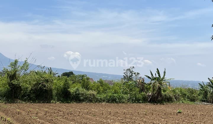 Tanah Kota Malang, 7 Menit Kampus Umm Muhammadiyah