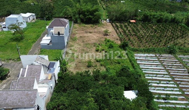 Tanah Dijual Landungsari Malang Dekat Kampus Umm Tlogomas