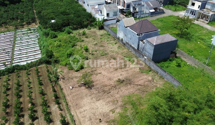 Tanah Dijual Landungsari Dekat Thursina Malang