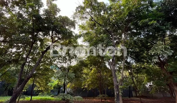 Kavling Tanah Pik Pinisi Permai 544m2 ( 17,5 X 31 )