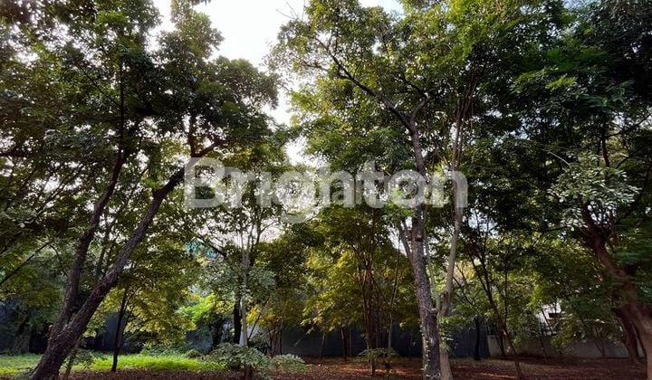 Kavling Tanah Pik Pinisi Permai 544m2 ( 17,5 X 31 )