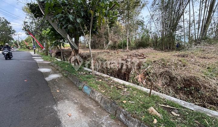 Land in Malang City 7 Minutes from Muhammadiyah University of Malang (UMM)