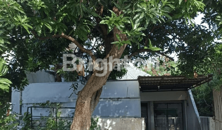 RUMAH REMEK, HITTANAH, DAERAH MANYAR REJO, DKT NGAGEL, MANYAR KARTIKA, JLN SUDAH ASPAL