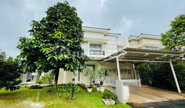 Goldfinch The Springs Gading Serpong Elite Area Luxury House