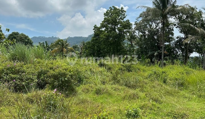 For Sale Multipurpose Plot Cibubur, Bogor*