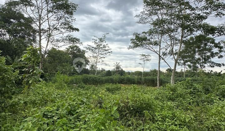 Tanah Siap Bangun Strategis Cluster Perumahan Cisoka Tangerang Banten