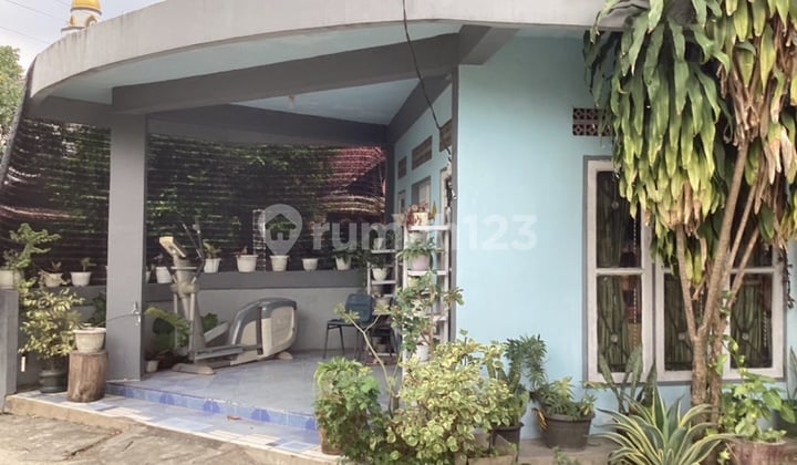 Rumah Dan Kos Kosan Dijual di Jl. Melati Pekanbaru