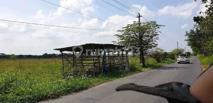 Lahan Zona Industri Lokasi Delanggu Klaten Luas 5 Hektar