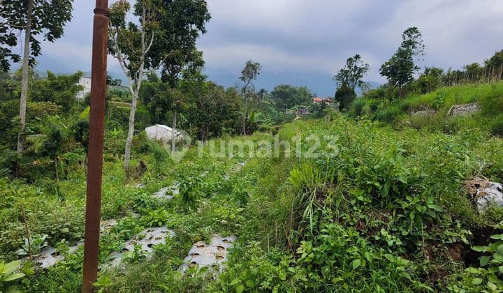 Tanah Strategis Lokasi Junjero Jawa Timur Luas 880M2 Bu!!