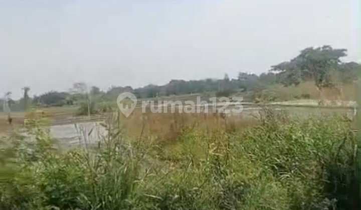 Sawah Zona Industri Lokasi Delanggu,Klaten Luas 5 Hektar