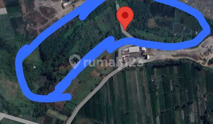 Special Farm Yard Land Location Sleman, Yogyakarta Area 5 Hectares