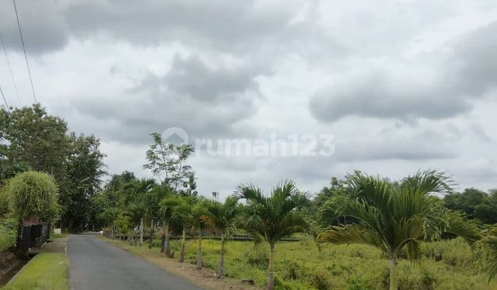 Tanah Murah Jogja Barat - Legalitas SHM Pekarangan, Lokasi Favorit