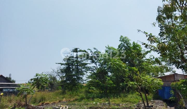 Tanah Dalam Kawasan Pergudangan Salembaran Tangerang