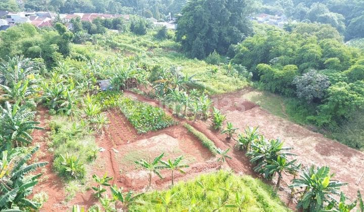 Dijual Tanah 2,7 Ha di Bawah Harga Pasar, Lokasi Bagus & Strategis untuk Kawasan Komersial Seperti Proyek Perumahan, Cluster, Sekolah, Universitas, Wisata Edukasi, Hotel, Apartement, Pacuan Kuda, Peternakan, Agrowisata, Rumah Sakit, Lapangan Golf, Sport C