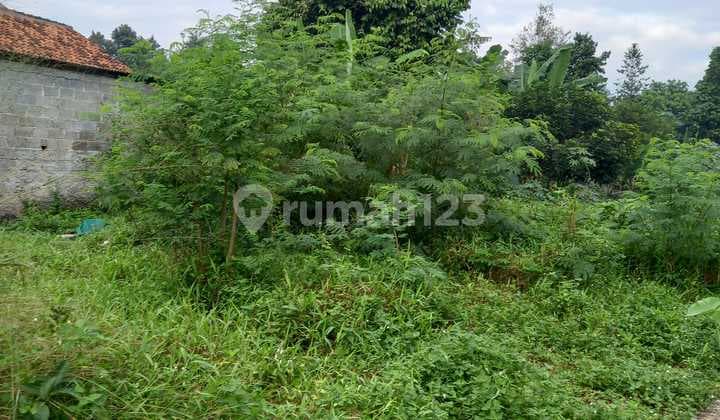 Disewakan Tanah Kosong Cocok Buat Usaha Di Jl. Masjid Ciater, Serpong Tangerang Selatan