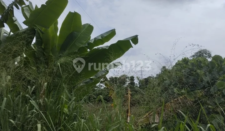 Jual Tanah komersial di Pataruman Jual Tanah komersial di Pataruman