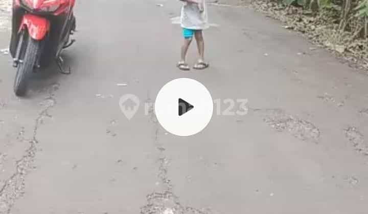 Dijual Tanah Garap di Karangmojo Dijual Tanah Garap di Karangmojo