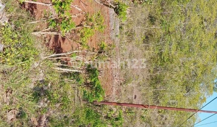 Dijial Tanah Garap di Semanu Wetan Candirejo