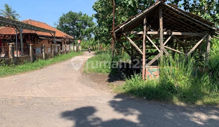 Tanah Dijual di Ciharashas Cianjur