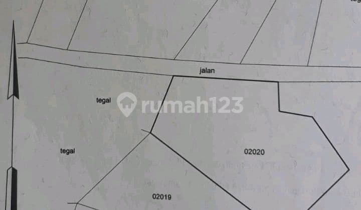 Dijual Tanah Di Tepus Gunung Kidul, Samping Jalan