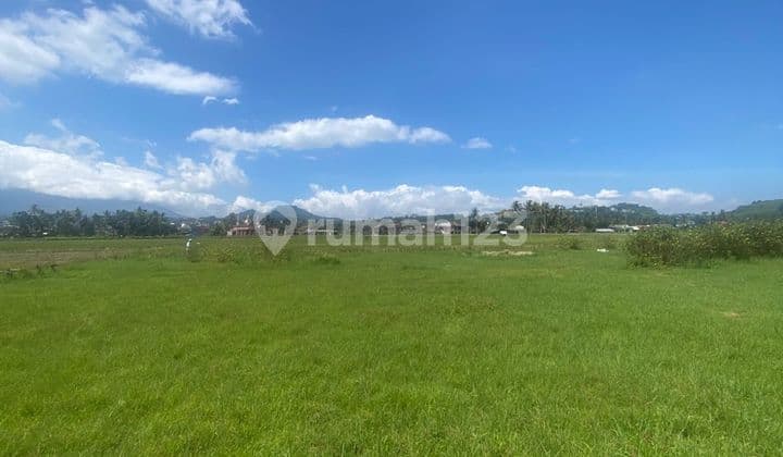 Dijual Tanah 1,3Jt/M2 Lokasi Tambakboyo Ambarawa Jawa Tengah