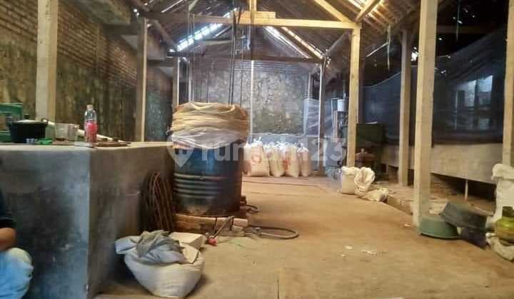 Bangunan Peternakan Sapi lokasi Magetan Jawa Timur