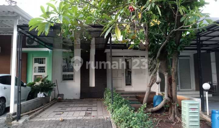 Disewakan Rumah Luas 84M2 Full Bangunan Graha Padma Semarang