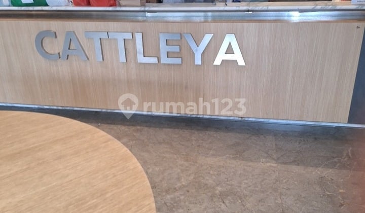 Dijual Cepat Apartemen Cattleya Type Studio Semi Furnished Lokasi Bsd Tangerang Banten