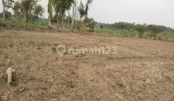 For Sale Cheap Land Fast in Cikareo