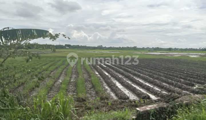 Dijual Tanah Sawah Di Desa Kelebet Kec. Kemiri Kab. Tangerang